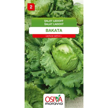 Osiva - Salát hlávkový ledový BAKATA, 10ks