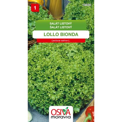 Osiva - Salát listový LOLLO BIONDA, 10ks