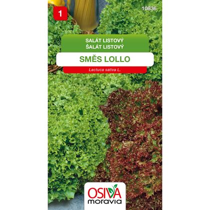 Osiva - Salát listový směs Lollo, 10ks
