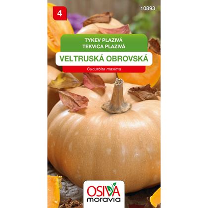 Osiva - Tykev VELTRUSKÁ OBROVSKÁ, 10ks