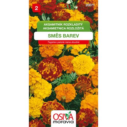 Osiva - Aksamitník rozkladitý - Tagetes patula nana double, 10ks