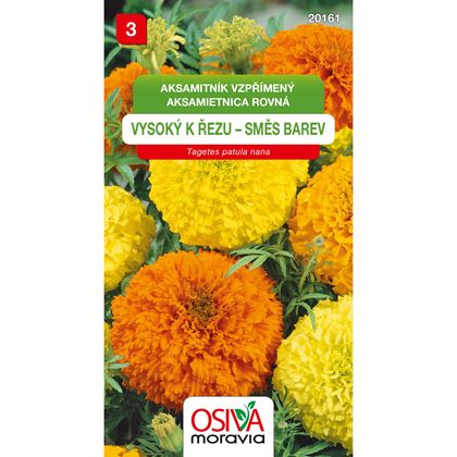 Osiva - Aksamitník vzpřímený nízký - Tagetes erecta nana, 10ks