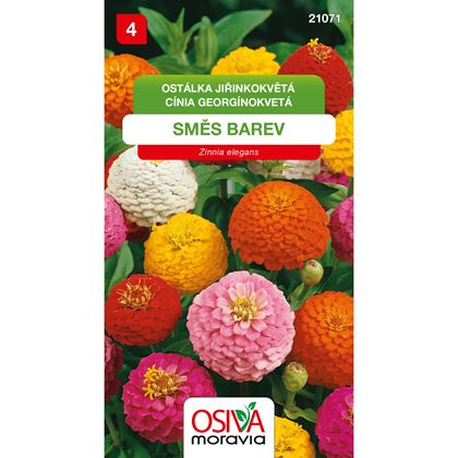 Osiva - Ostálka jiřinkokvětá - Zinnia elegans, 10ks