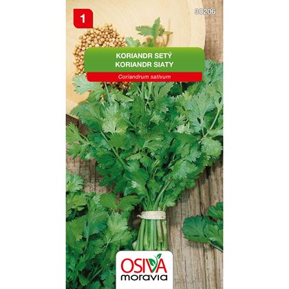 Osiva - Koriandr setý, 10ks